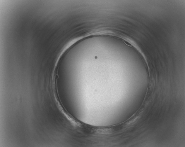 X0000059801053200511041622