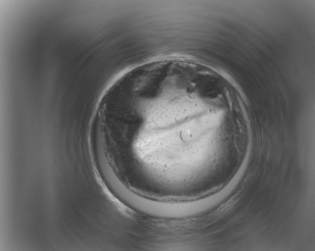 X0000059801054200511041622