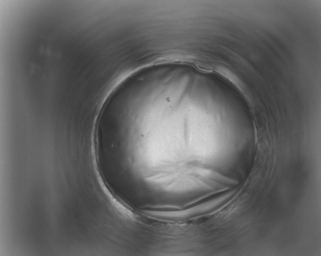 X0000059801055200511041622