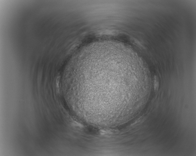 X0000059801059200511041621