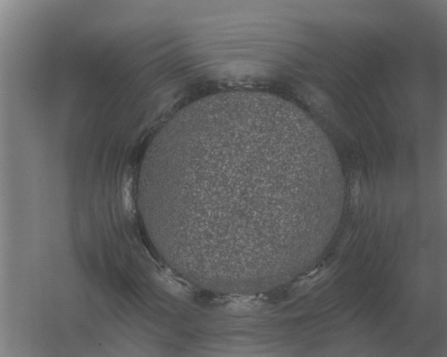 X0000059801060200511041621