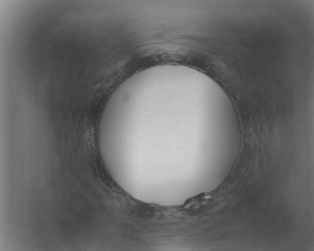 X0000059801061200511041621