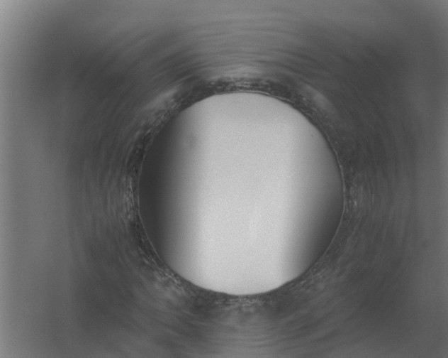 X0000059801062200511041621