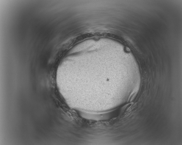 X0000059801063200511041621