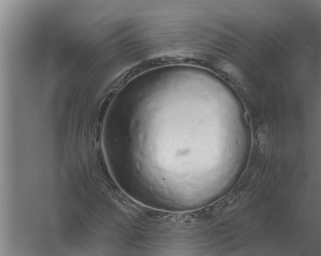 X0000059801064200511041621