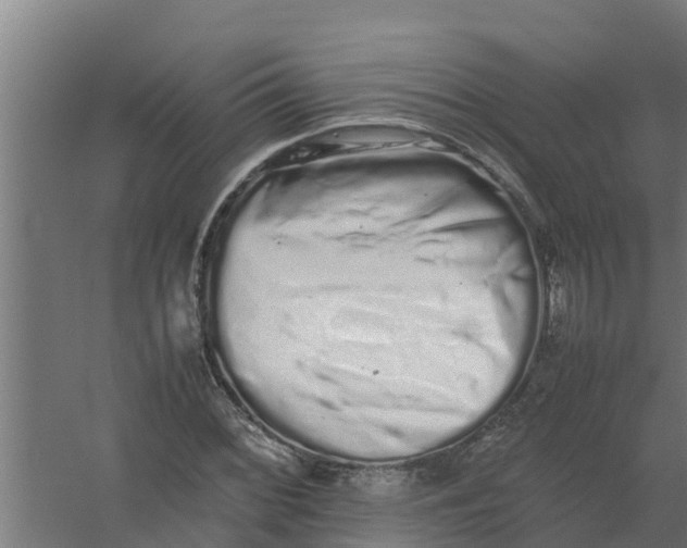 X0000059801068200511041621