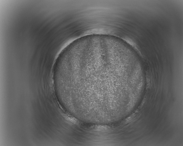 X0000059801070200511041621