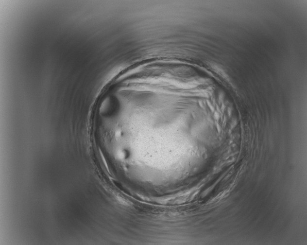 X0000059801071200511041621