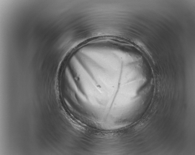 X0000059801072200511041621