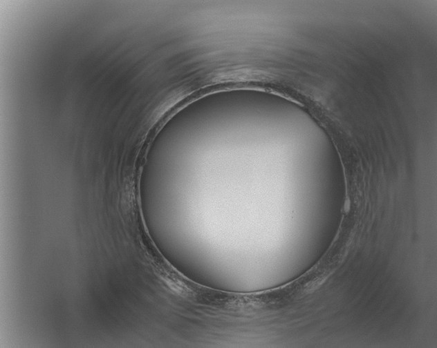 X0000059801073200511041621