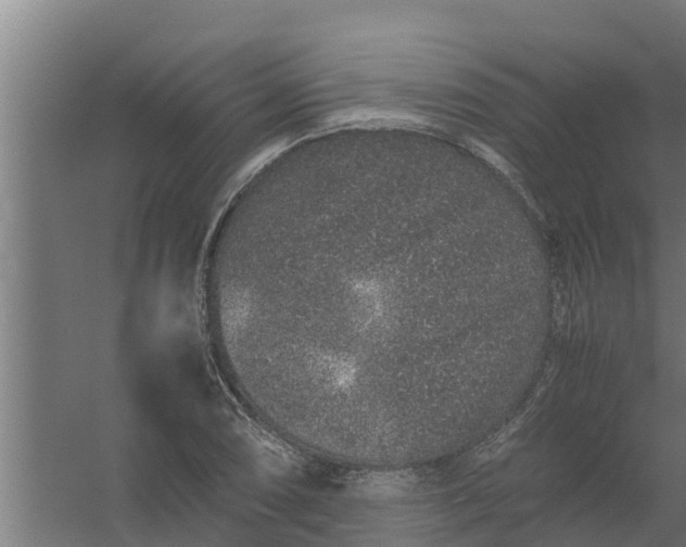 X0000059801074200511041621