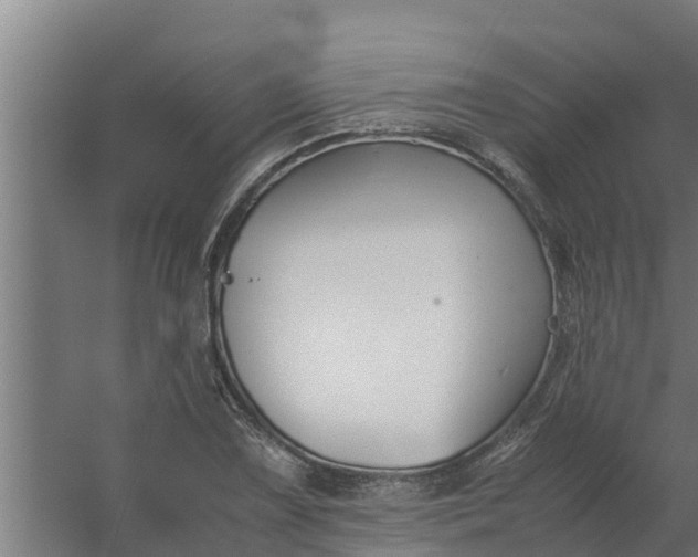 X0000059801075200511041621