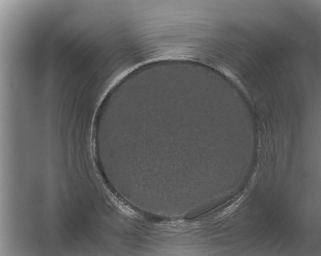 X0000059801077200511041621