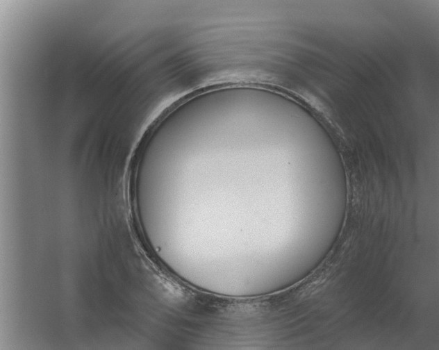 X0000059801078200511041621