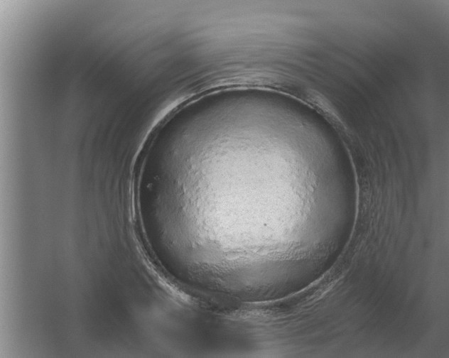 X0000059801079200511041621