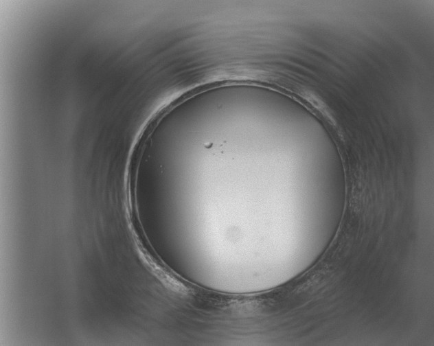 X0000059801080200511041621