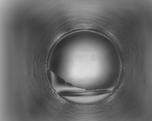 X0000059801081200511041621