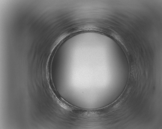 X0000059801082200511041621