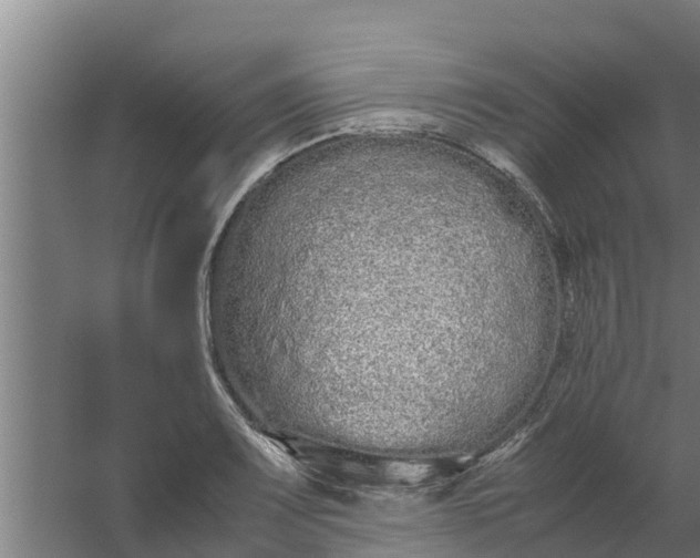 X0000059801083200511041620