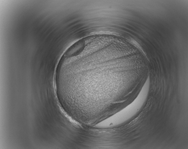 X0000059801084200511041620