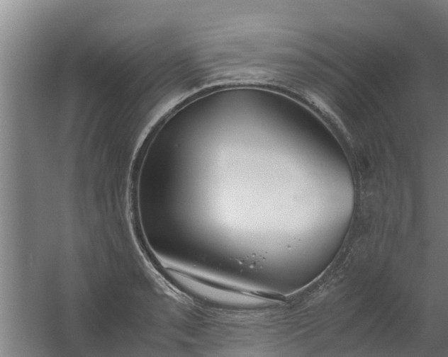 X0000059801085200511041620