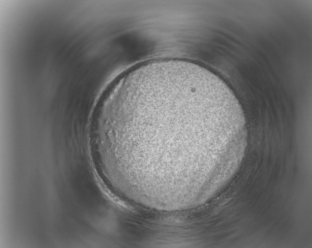 X0000059801086200511041620