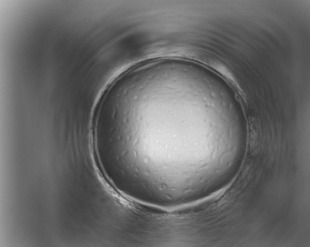 X0000059801088200511041620