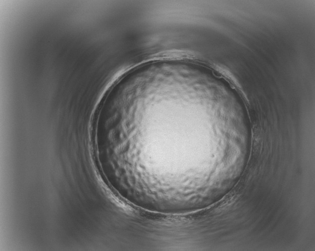 X0000059801091200511041620