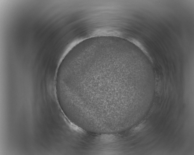 X0000059801094200511041620