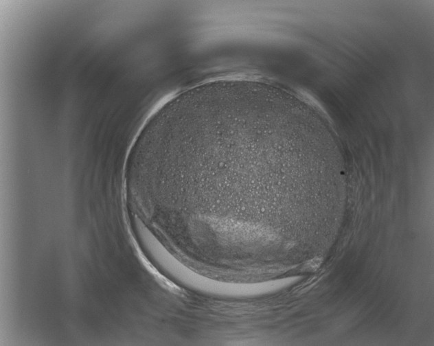 X0000059801095200511041620