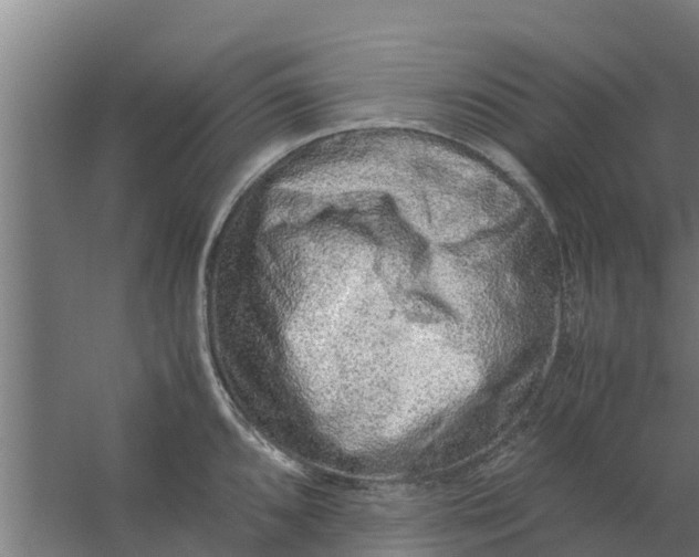 X0000059801096200511041620