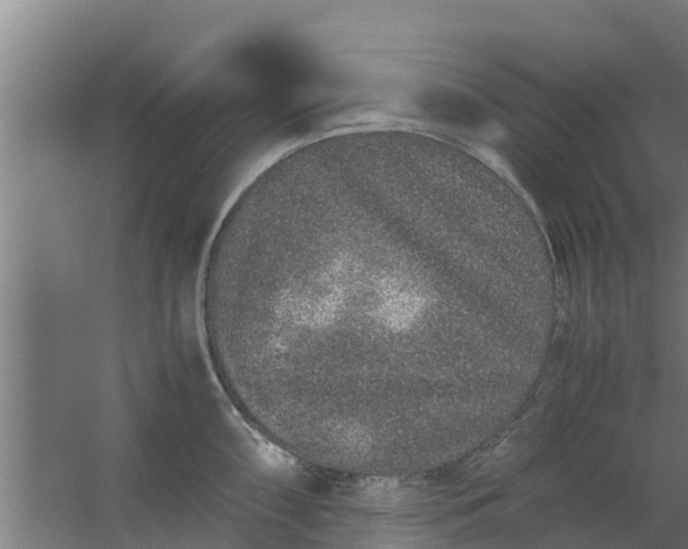 X0000059801098200511041620