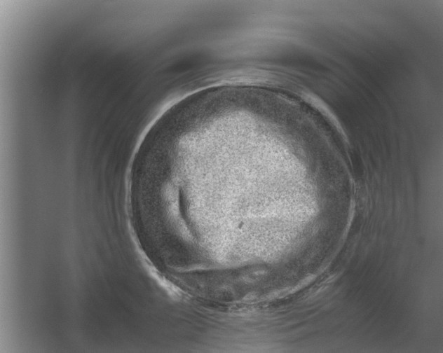 X0000059801099200511041620