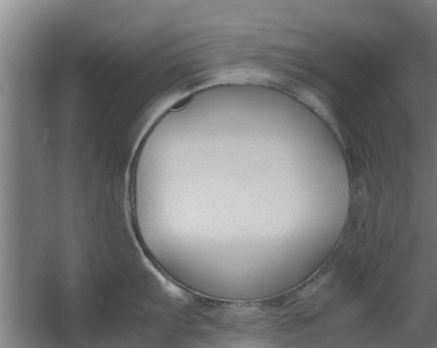 X0000059801103200511041620