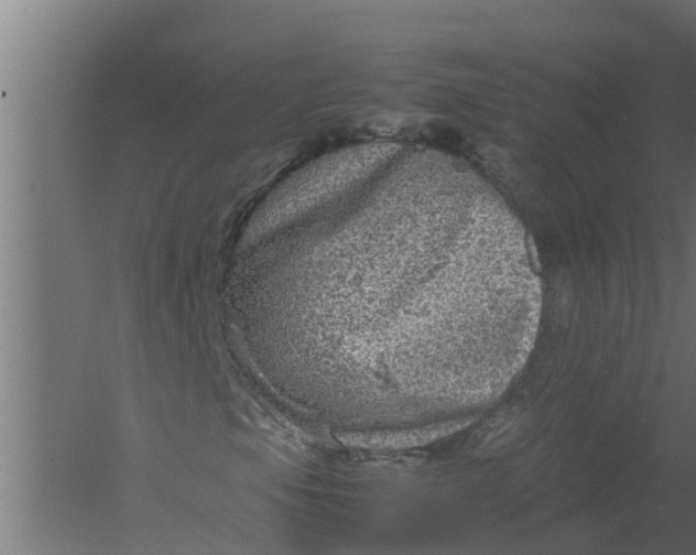 X0000059801105200511041619