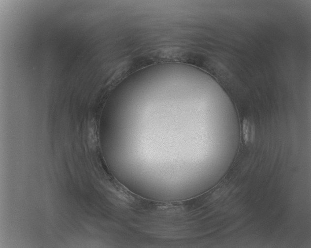 X0000059801107200511041619