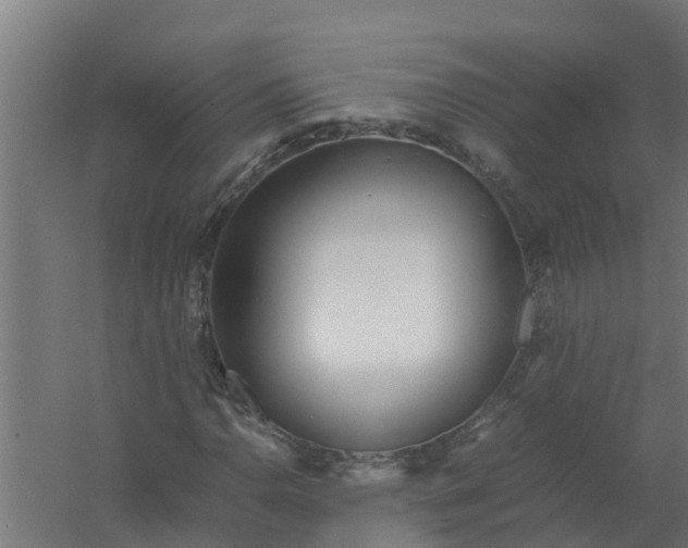 X0000059801110200511041619