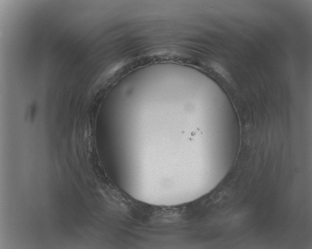 X0000059801111200511041619