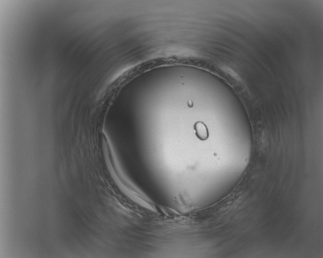 X0000059801112200511041619