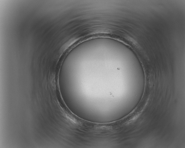 X0000059801113200511041619