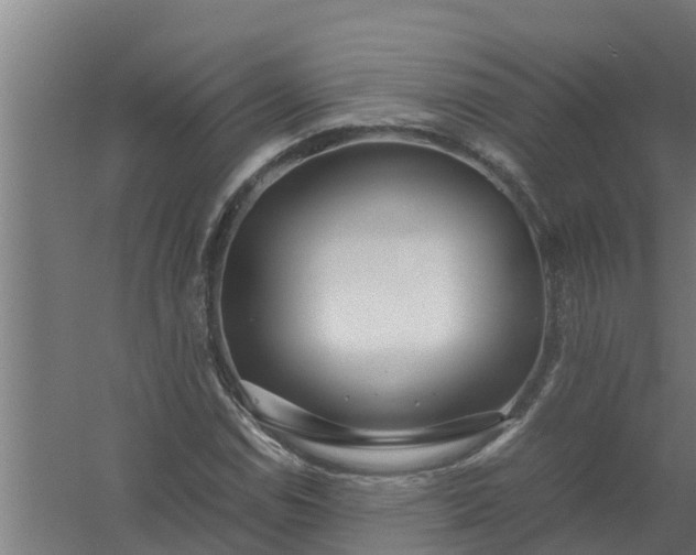 X0000059801114200511041619