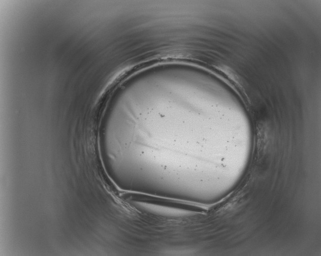 X0000059801115200511041620