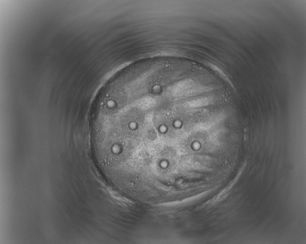 X0000059801117200511041620