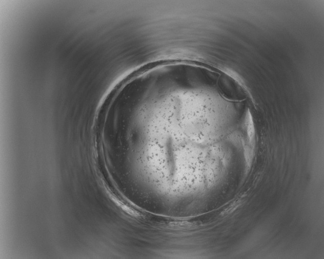 X0000059801120200511041620