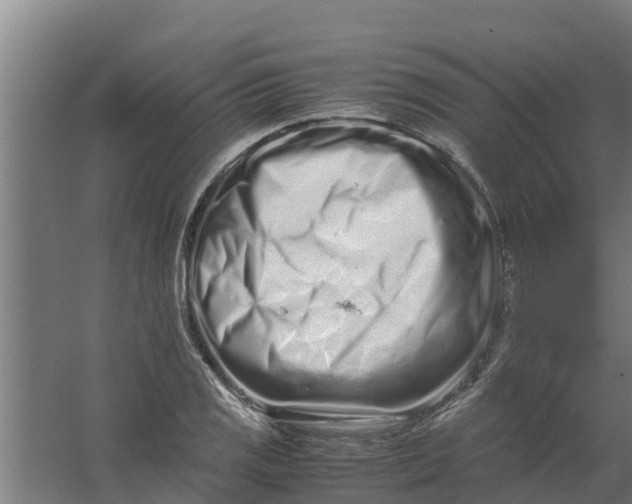 X0000059801125200511041620