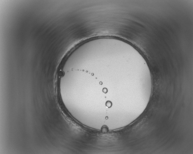 X0000059801126200511041620