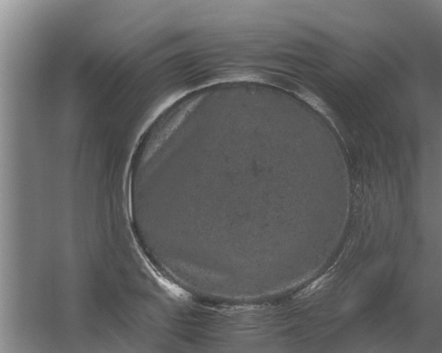 X0000059801127200511041620