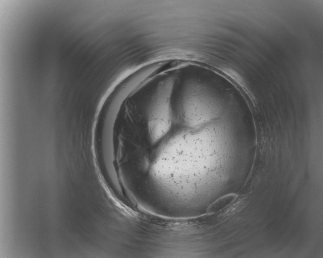 X0000059801128200511041620