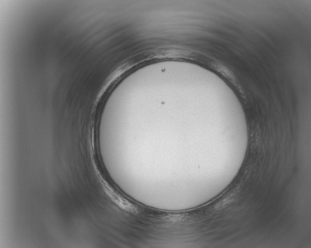 X0000059801130200511041620