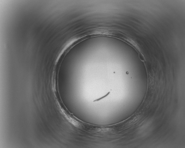 X0000059801131200511041620